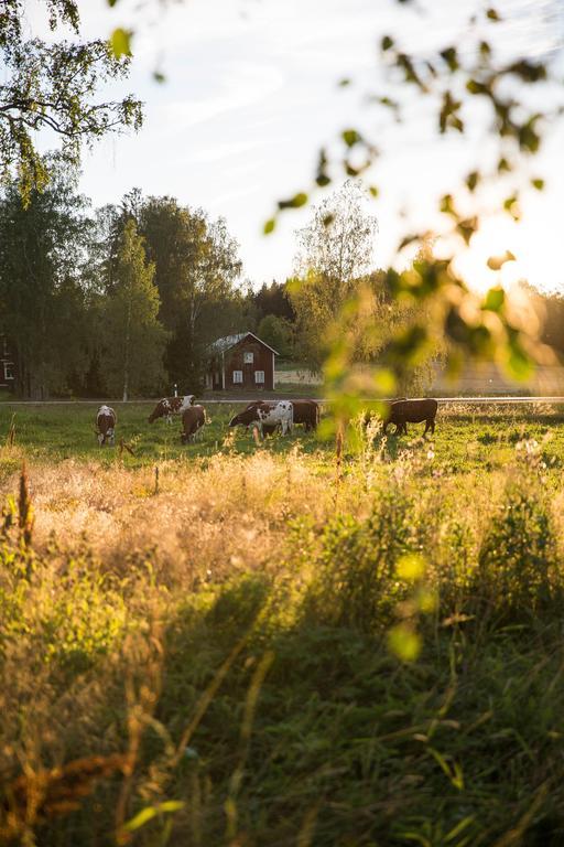 Ulvsby Herrgard Sunne község Kültér fotó